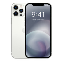 Apple iPhone 12 Pro 256GB - Silver Refurbished Grade A (+ Plus) [AS NEW]