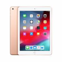 Apple iPad 6th Gen 32GB WiFi (Gold) [*Refurbished: Excellent]