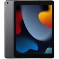 Apple iPad 9th Gen 256GB Wi-Fi + Cellular Space Gray - Excellent - Refurbished Grade B+