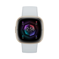 Fitbit Sense 2 Blue Mist - Premium - Refurbished Grade A++