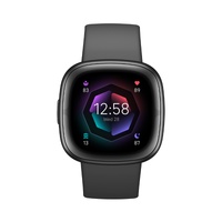 Fitbit Sense 2 Shadow Grey - Premium - Refurbished Grade A++